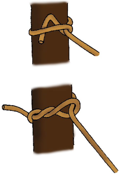 Noeud de bois Noeud de bois