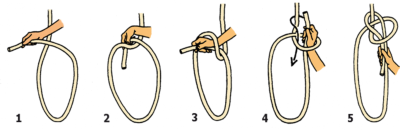 Noeud de chaise Noeud de chaise